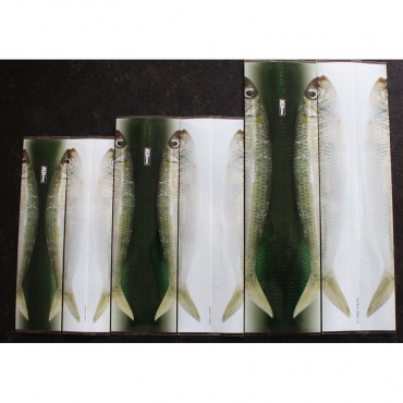 jigskinz_sardines-small7